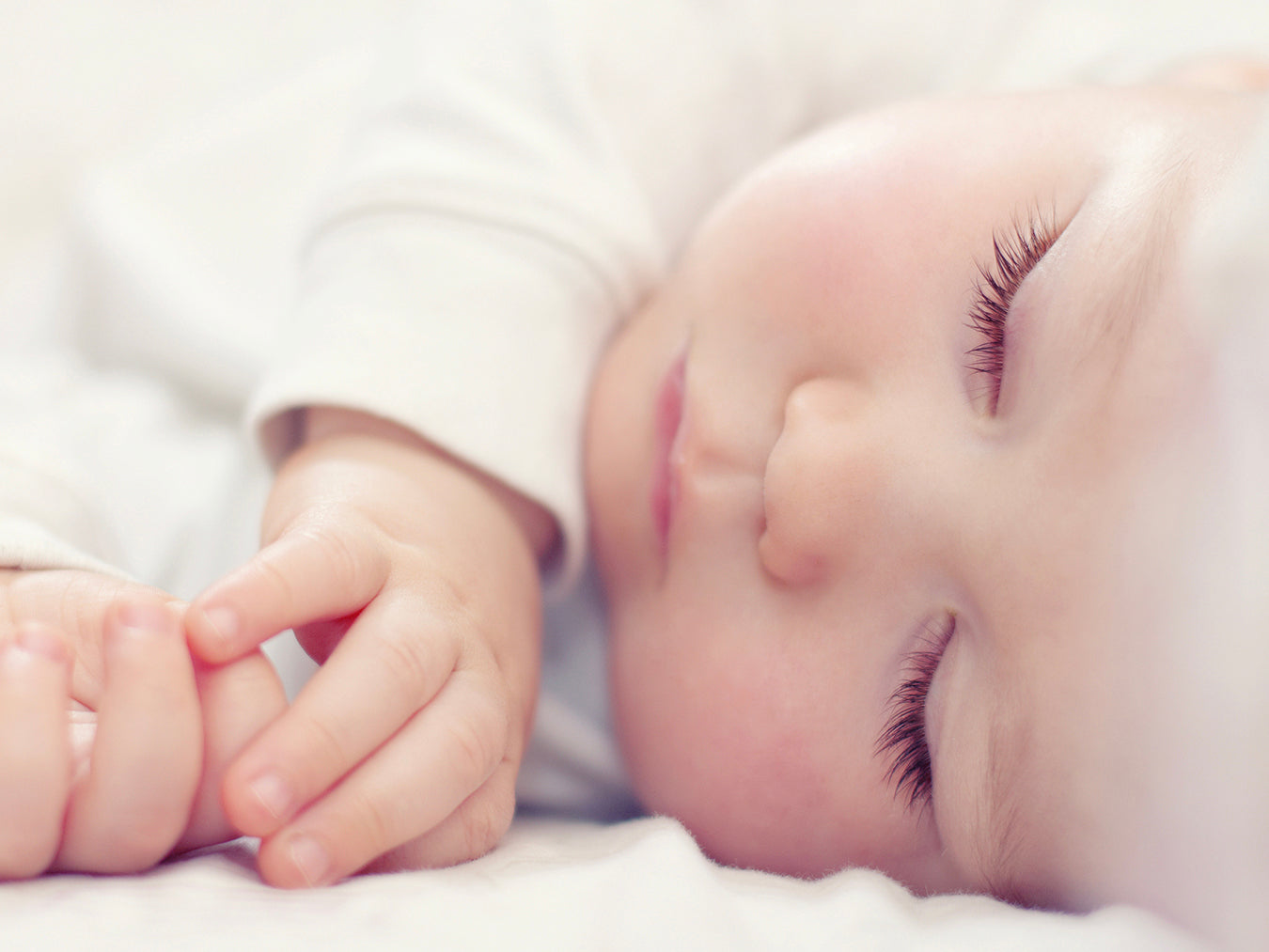 No Follow-up Pregnant & Newborn Program         (0-3) Months